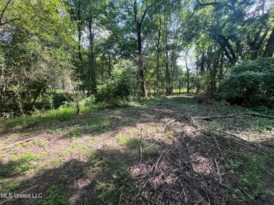 Historic Downtown Brandon Lot - image 20