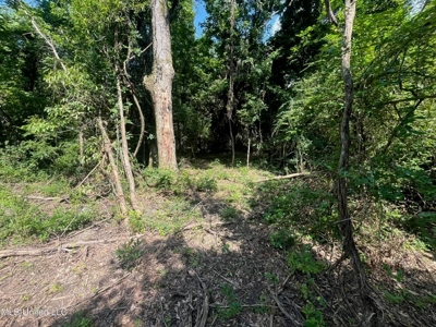 Historic Downtown Brandon Lot - image 13