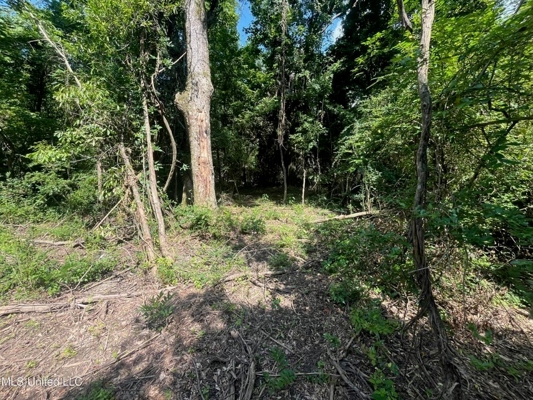 Historic Downtown Brandon Lot For Sale