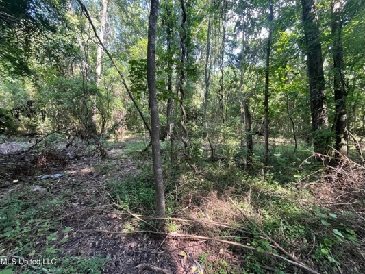 Historic Downtown Brandon Lot For Sale
