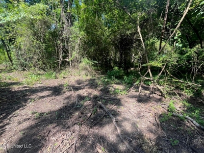 Historic Downtown Brandon Lot - image 11
