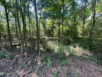 Historic Downtown Brandon Lot - image 6
