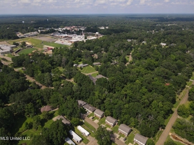 Historic Downtown Brandon Lot - image 21