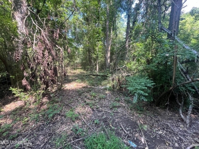 Historic Downtown Brandon Lot - image 17