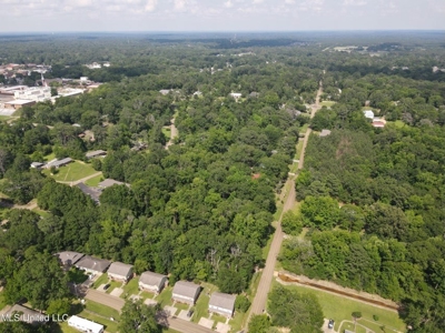 Historic Downtown Brandon Lot - image 22