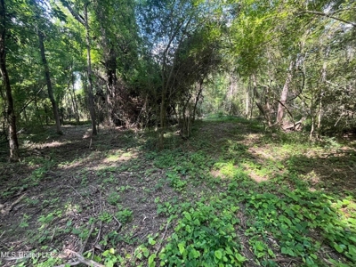 Historic Downtown Brandon Lot - image 19