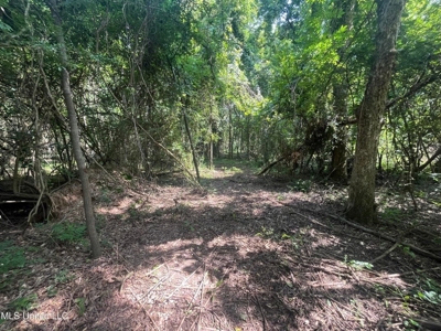 Historic Downtown Brandon Lot - image 18