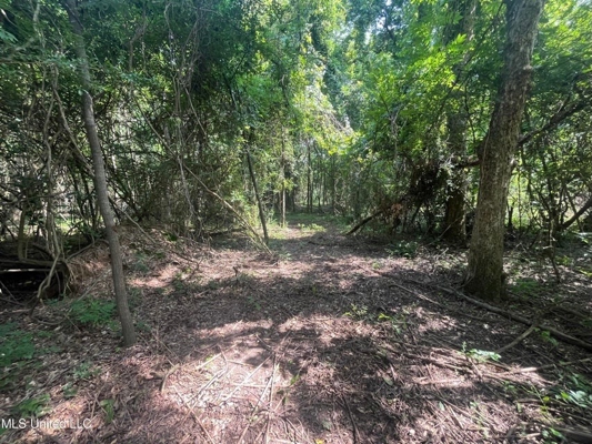Historic Downtown Brandon Lot For Sale