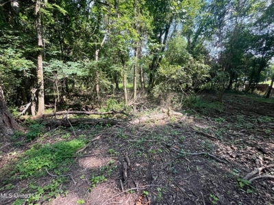 Historic Downtown Brandon Lot - image 10