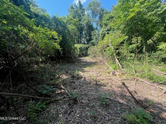 Historic Downtown Brandon Lot For Sale