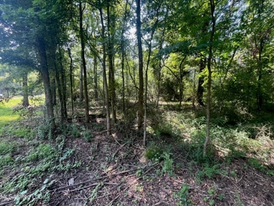 Historic Downtown Brandon Lot - image 5