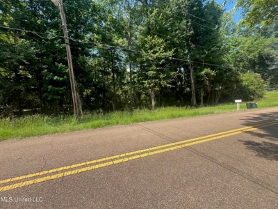 Historic Downtown Brandon Lot - image 3