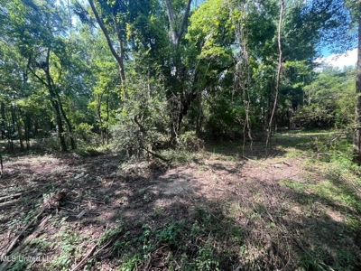 Historic Downtown Brandon Lot - image 8