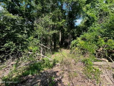 Historic Downtown Brandon Lot - image 14