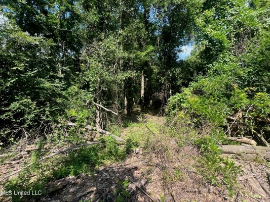 Historic Downtown Brandon Lot For Sale