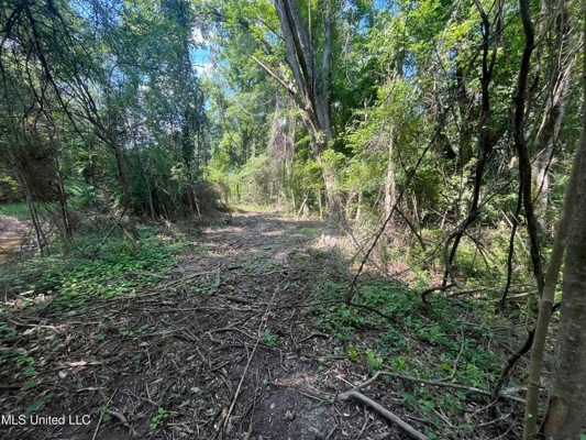 Historic Downtown Brandon Lot For Sale