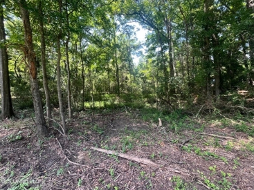 Listing 235