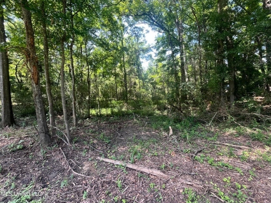 Historic Downtown Brandon Lot For Sale