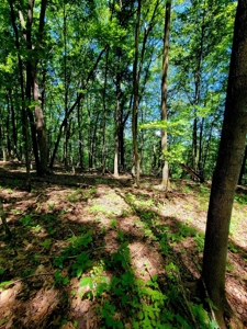 Cottage style home, on over 51 acres, for sale in Wisconsin - image 17