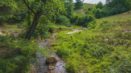 Poultry Farm and Country Home | Investment Property - image 36