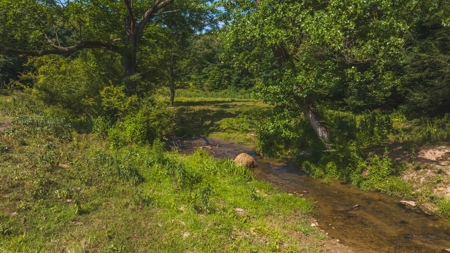 Poultry Farm and Country Home | Investment Property - image 31