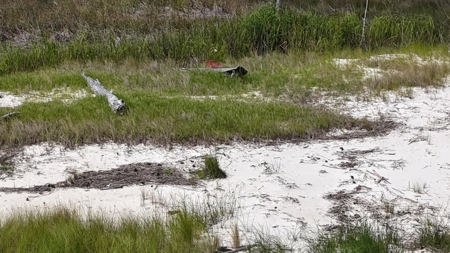 Waterfront Lot for Sale Beaufort NC - image 14