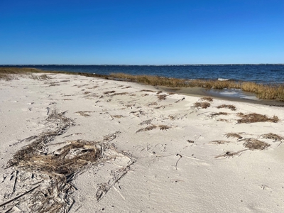 Waterfront Lot for Sale Beaufort NC - image 39