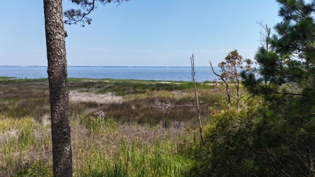 Waterfront Lot for Sale Beaufort NC - image 22