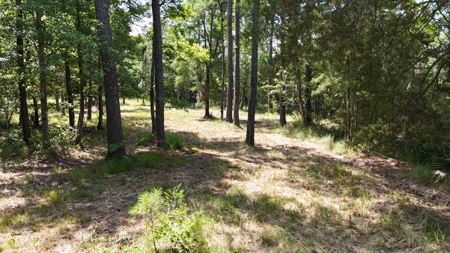 Waterfront Lot for Sale Beaufort NC - image 28