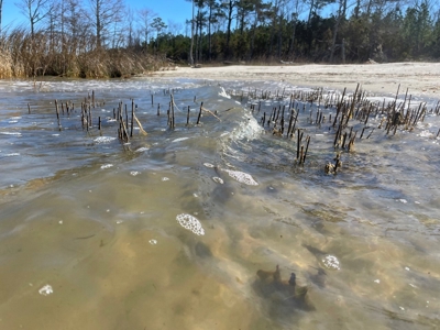 Waterfront Lot for Sale Beaufort NC - image 41