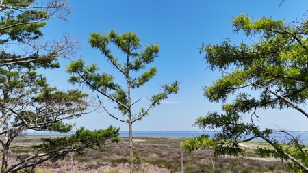 Waterfront Lot for Sale Beaufort NC - image 24