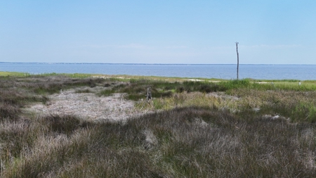 Waterfront Lot for Sale Beaufort NC - image 26