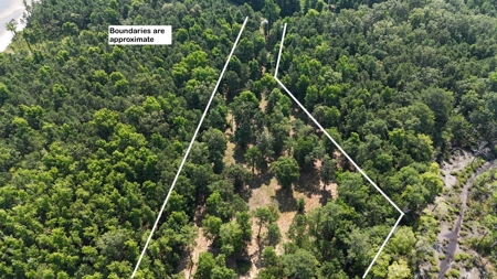 Waterfront Lot for Sale Beaufort NC - image 9