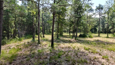 Waterfront Lot for Sale Beaufort NC - image 31