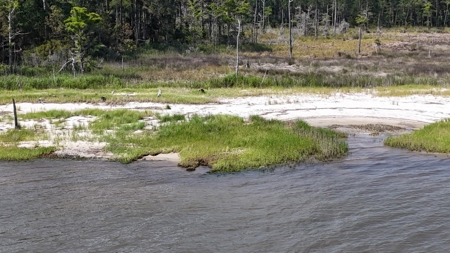 Waterfront Lot for Sale Beaufort NC - image 6