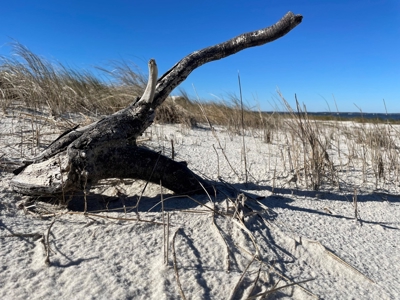 Waterfront Lot for Sale Beaufort NC - image 1