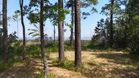 Waterfront Lot for Sale Beaufort NC - image 20