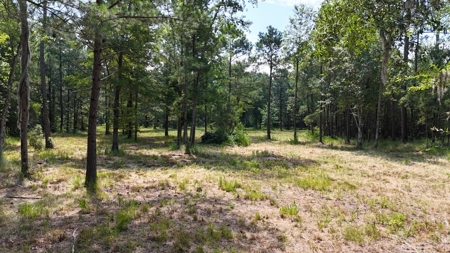 Waterfront Lot for Sale Beaufort NC - image 32