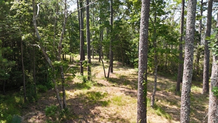 Waterfront Lot for Sale Beaufort NC - image 27