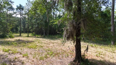 Waterfront Lot for Sale Beaufort NC - image 29