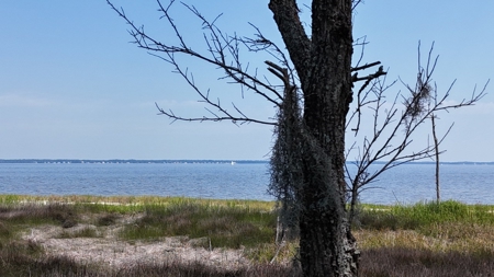 Waterfront Lot for Sale Beaufort NC - image 25