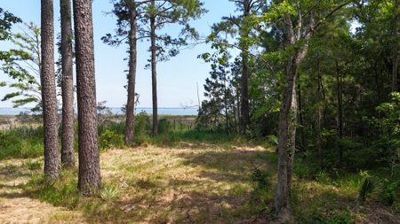 Waterfront Lot for Sale Beaufort NC - image 21