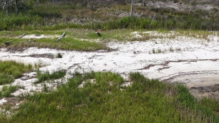 Waterfront Lot for Sale Beaufort NC - image 7