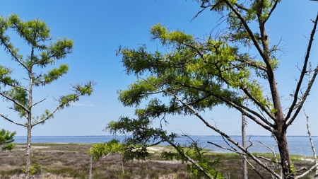 Waterfront Lot for Sale Beaufort NC - image 23
