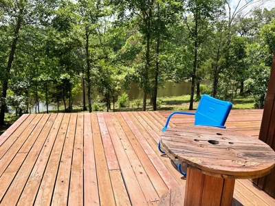 Secluded Cabin on 40 Acres Recreational Land, Cedar Co, MO - image 29