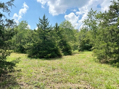 Secluded Cabin on 40 Acres Recreational Land, Cedar Co, MO - image 45