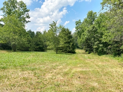 Secluded Cabin on 40 Acres Recreational Land, Cedar Co, MO - image 44