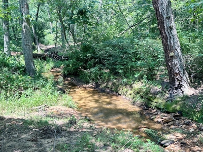 Secluded Cabin on 40 Acres Recreational Land, Cedar Co, MO - image 48