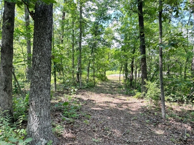 Secluded Cabin on 40 Acres Recreational Land, Cedar Co, MO - image 43