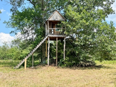Secluded Cabin on 40 Acres Recreational Land, Cedar Co, MO - image 41
